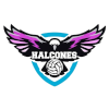 Halcones