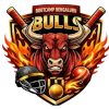Bootcamp Bangalore Bulls