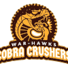 Cobras Amritsar