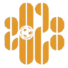 Shenzhen 2028 FC