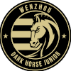 Wenzhou Professional F.C